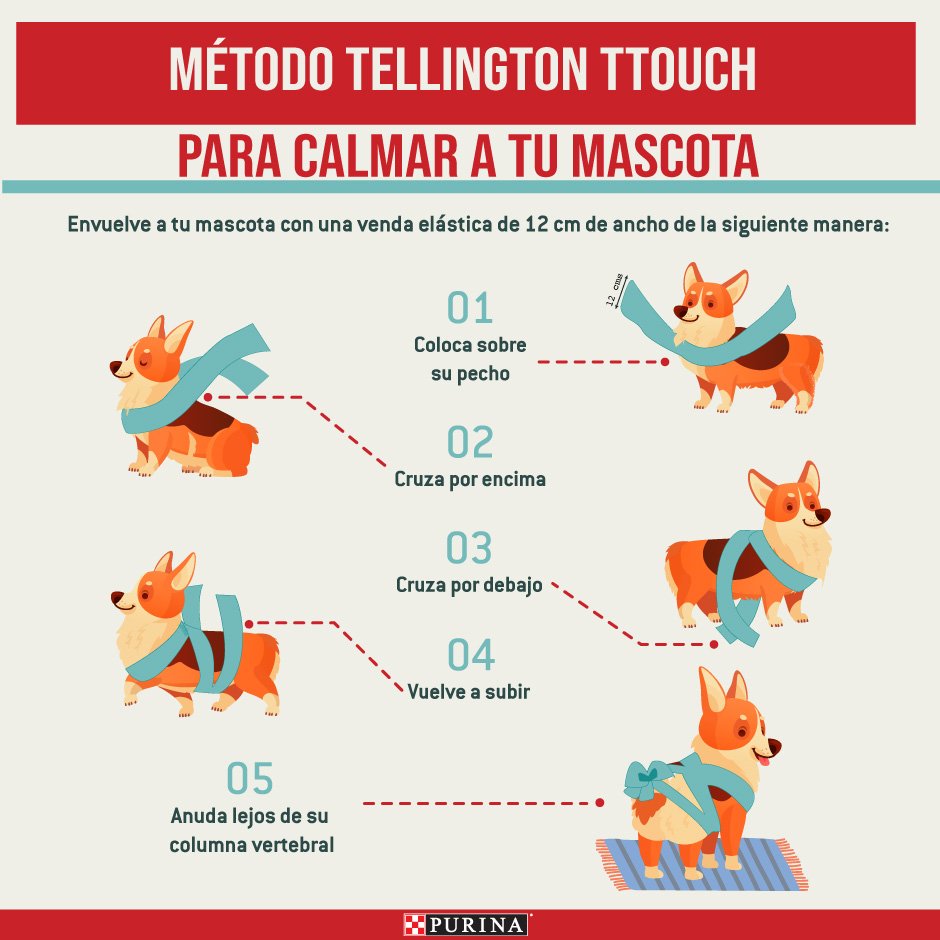 Tellington Ttouch Tellington Ttouch