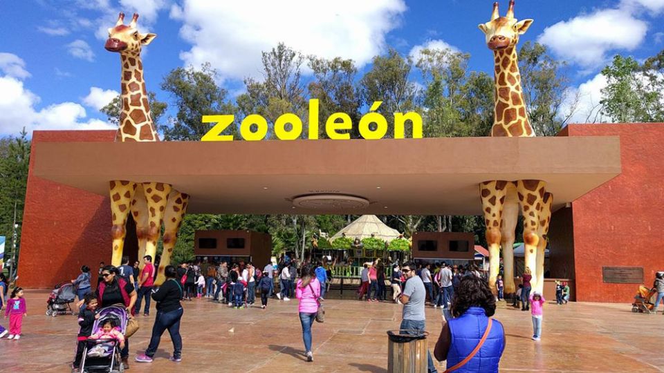 ¿Qué hacer con los niños en Semana Santa? Periodico AM