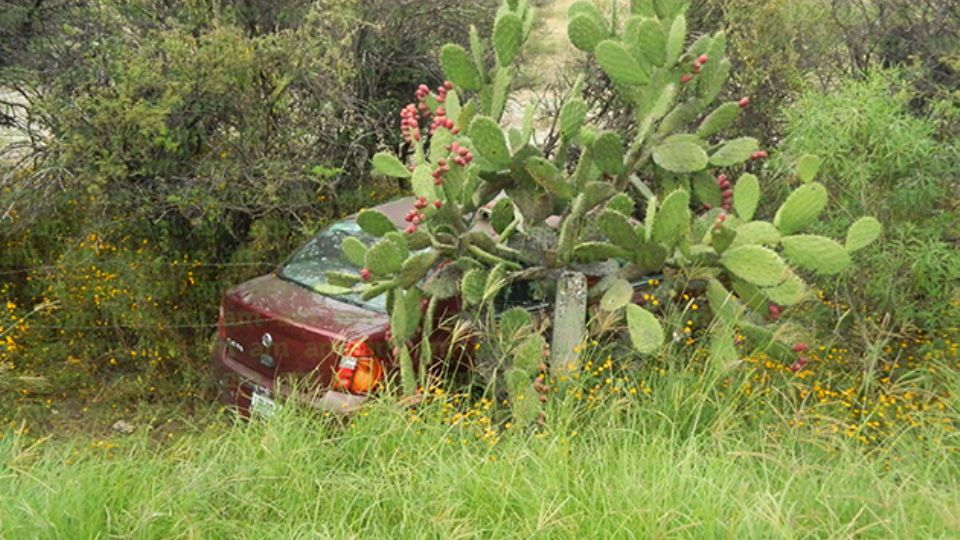 Se salvan de milagro mamá y sus dos hijos - Periódico AM