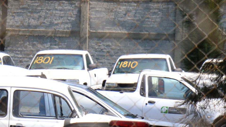 Salamanca creará corralón municipal