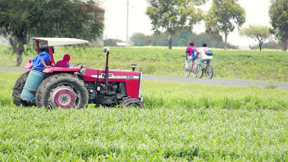Productores de Guanajuato