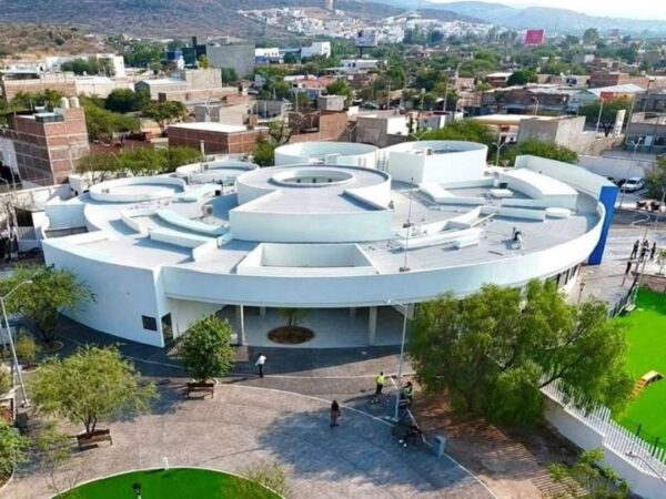 Denuncian muerte de cachorros en Hospital de Mascotas León 450; Municipio se deslinda