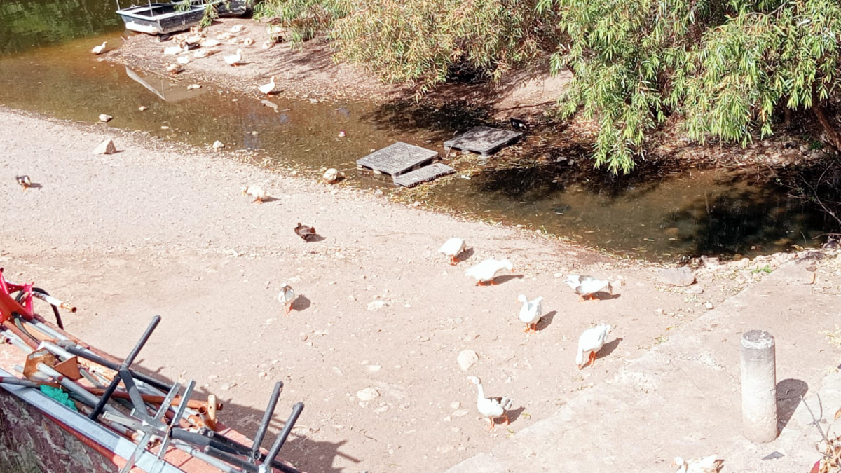 Contaminación en la Presa de la Olla, en Guanajuato capital