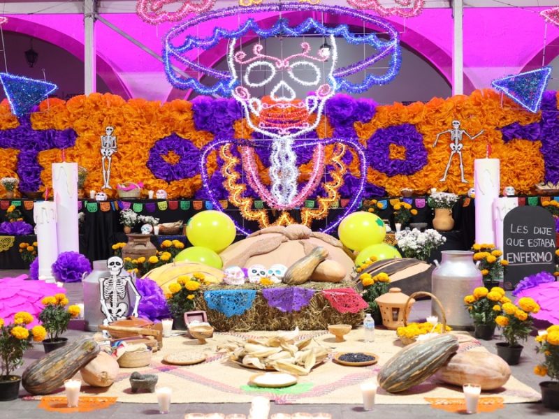 Altares Día de Muertos Purísima