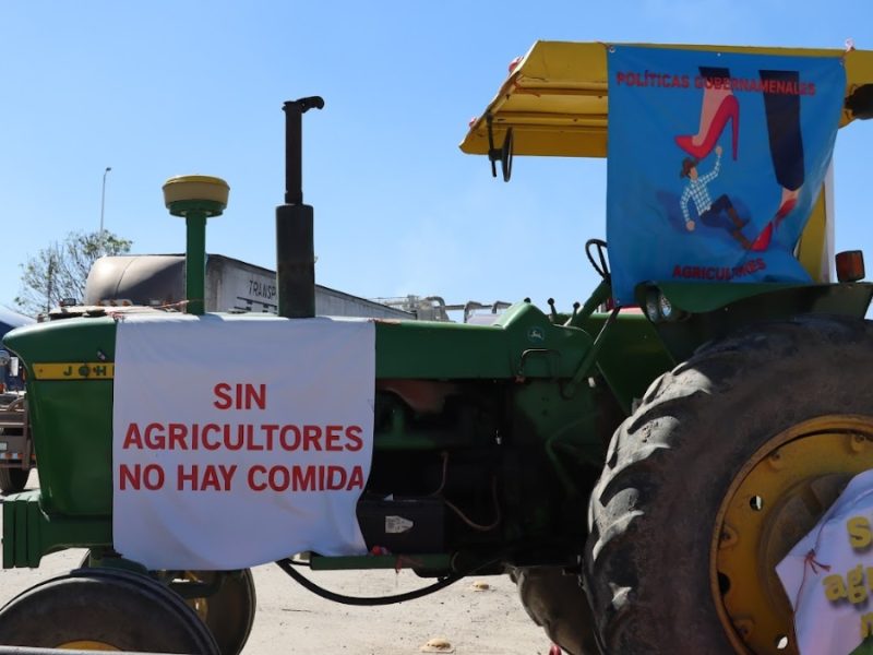 Agricultores de maíz