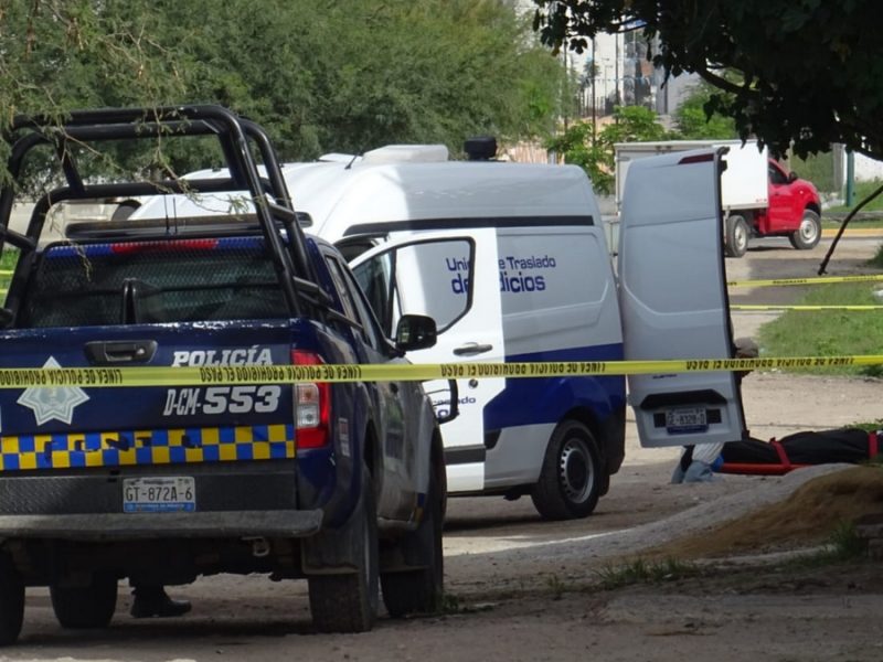 Delitos contra la vida