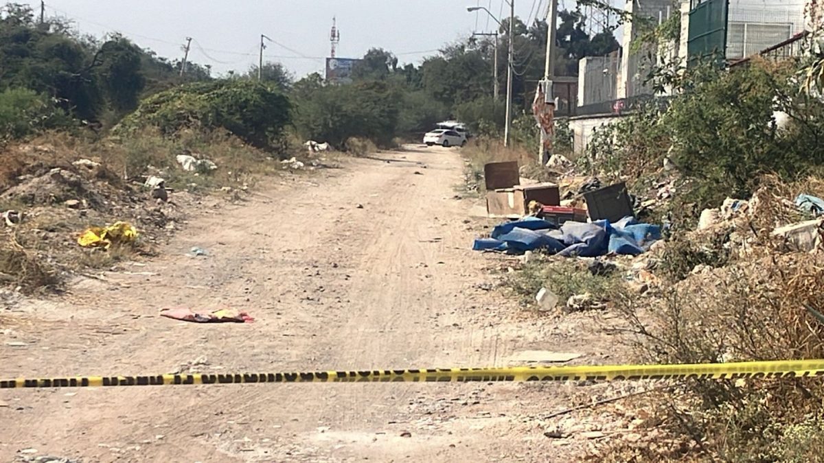Cadáver en la colonia Santo Domingo 03