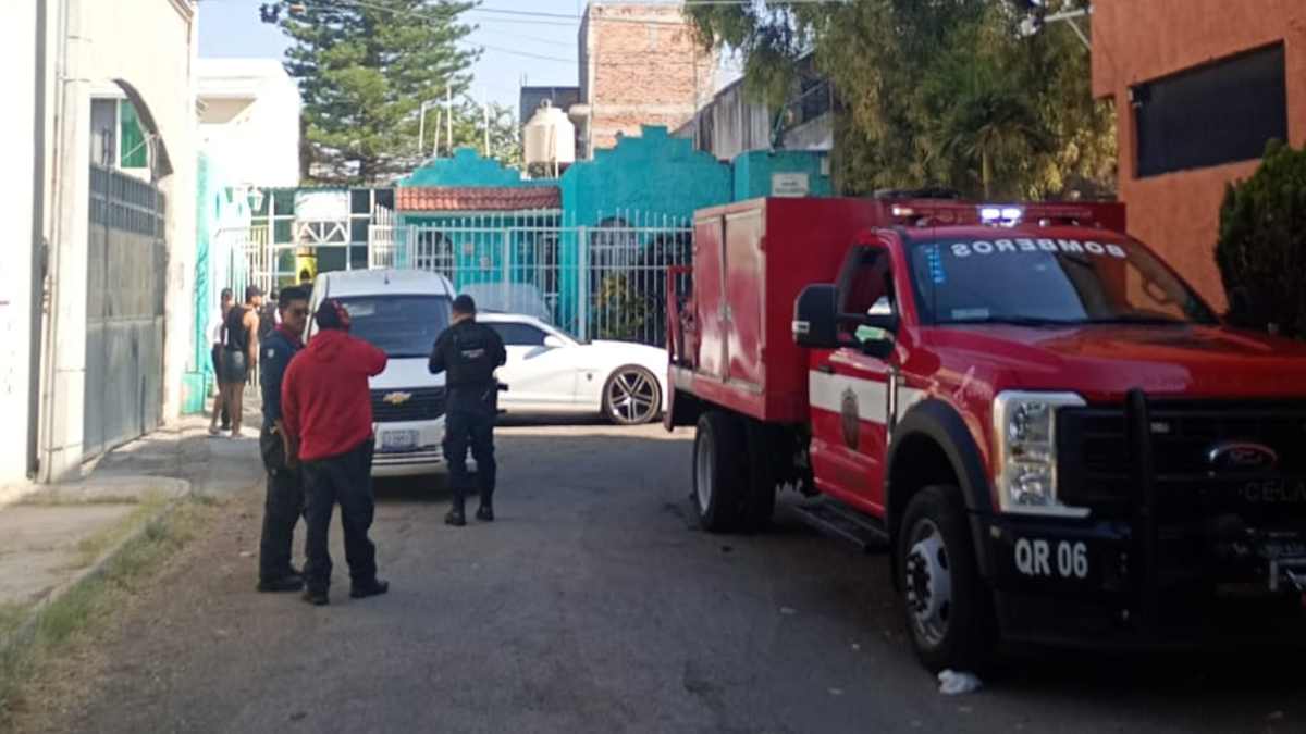 Crueldad animal en Celaya