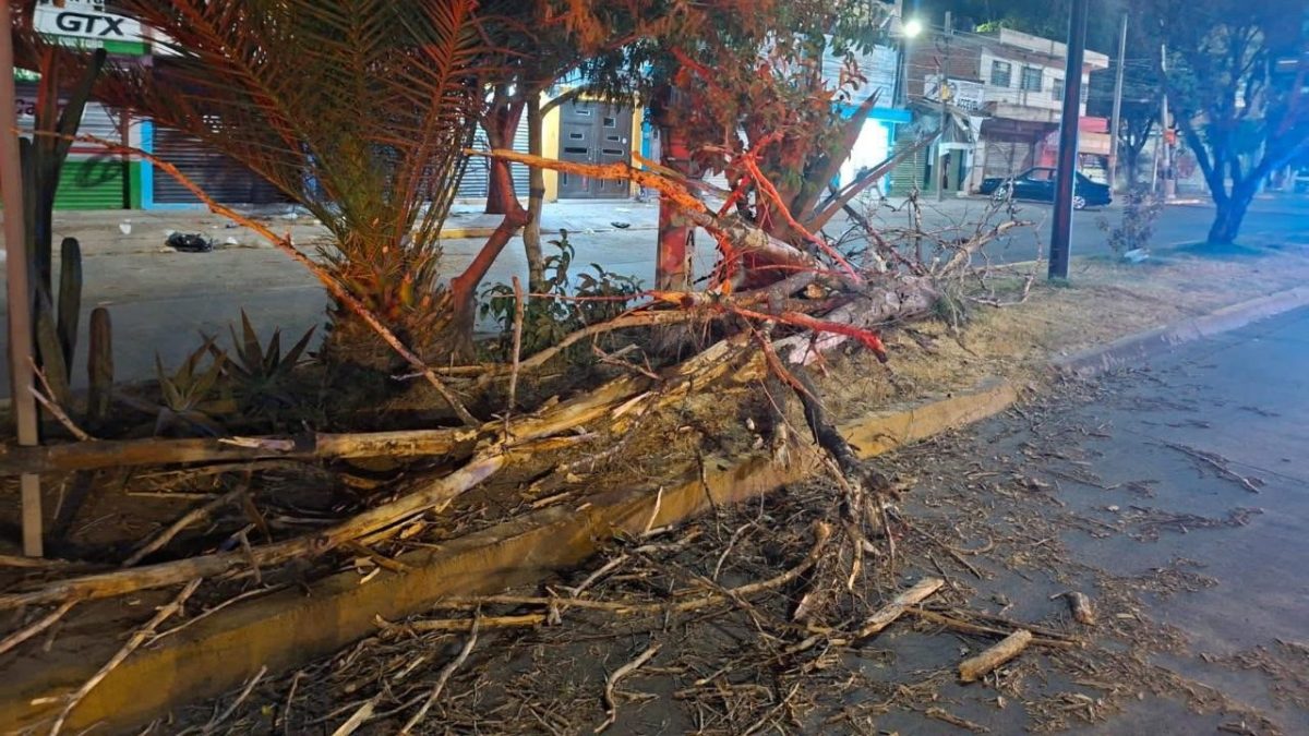 Fuertes vientos en Guanajuato 01