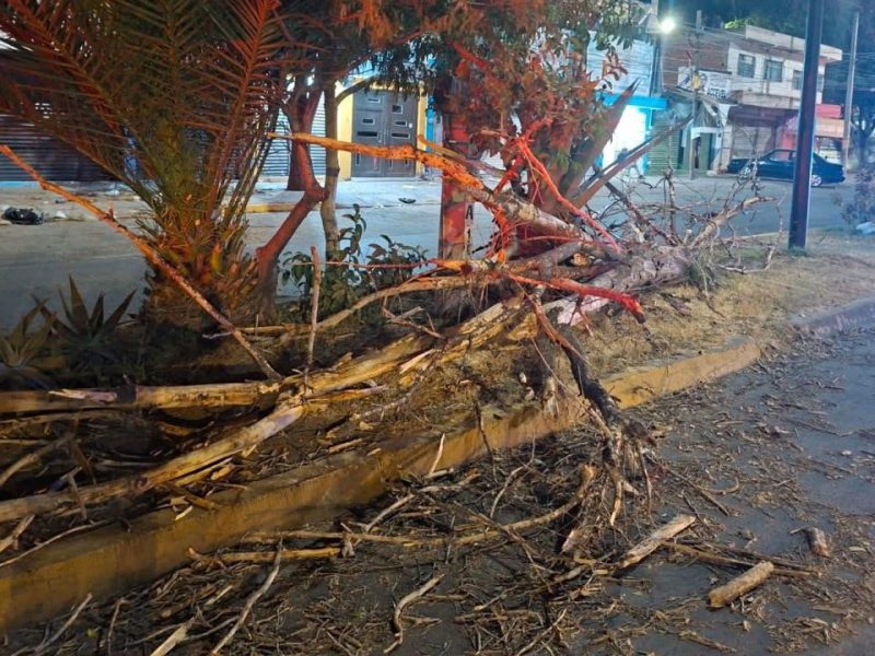 Fuertes vientos en Guanajuato 01