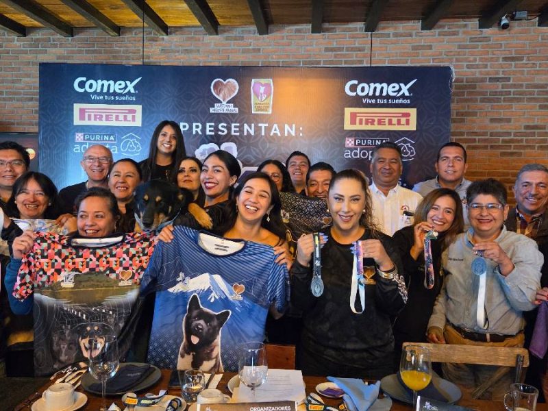 Fundación Corazón Animal