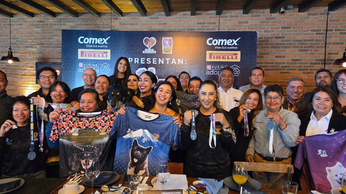 Fundación Corazón Animal