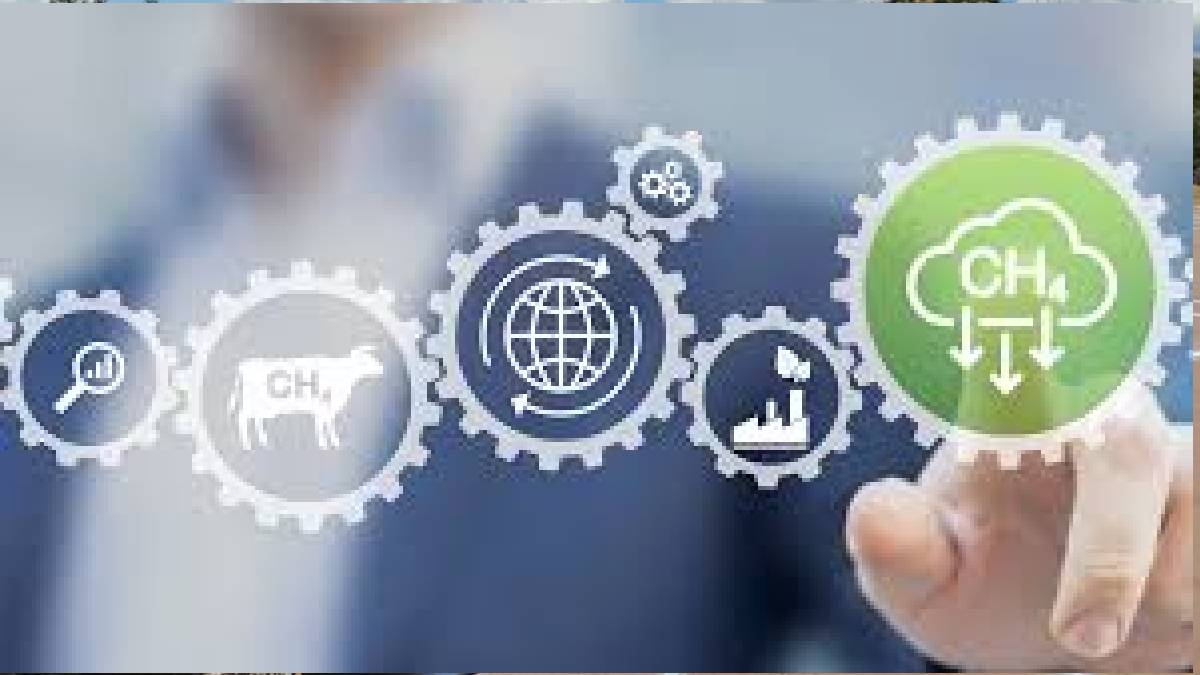 Necesidad energética: El país depende de EE. UU. y tiene $200$ días menos de reserva que Francia.