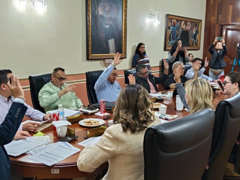 Gobierno y fabricantes de San Francisco del Rincón