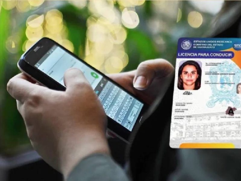 licencias guanajuato