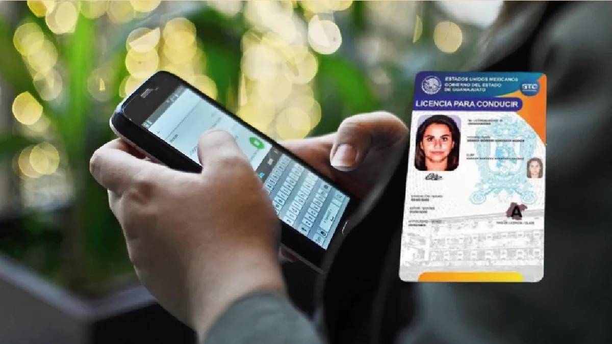 licencias guanajuato