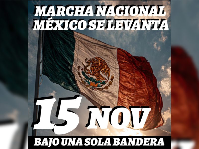 Marcha nacional 15 de noviembre