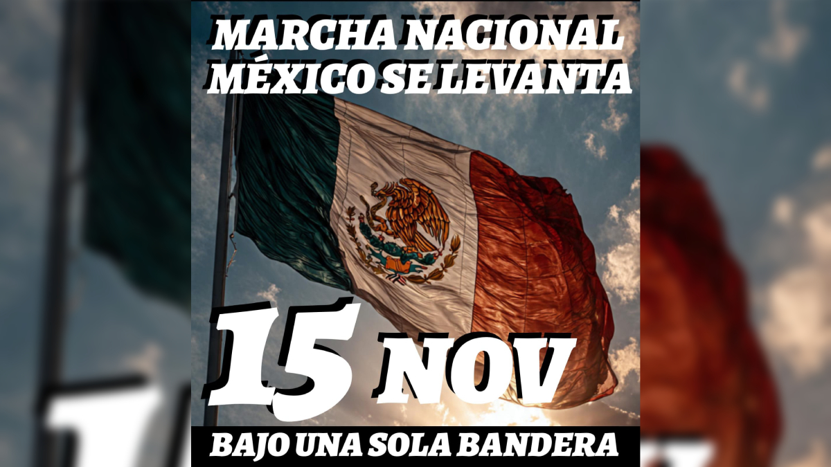 Marcha nacional 15 de noviembre
