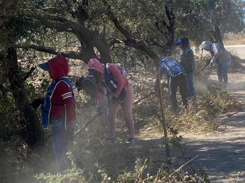 Programa Ayúdate Ayudando Guanajuato