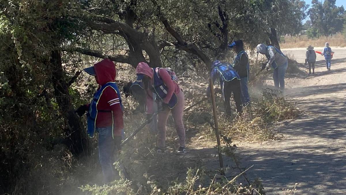 Programa Ayúdate Ayudando Guanajuato