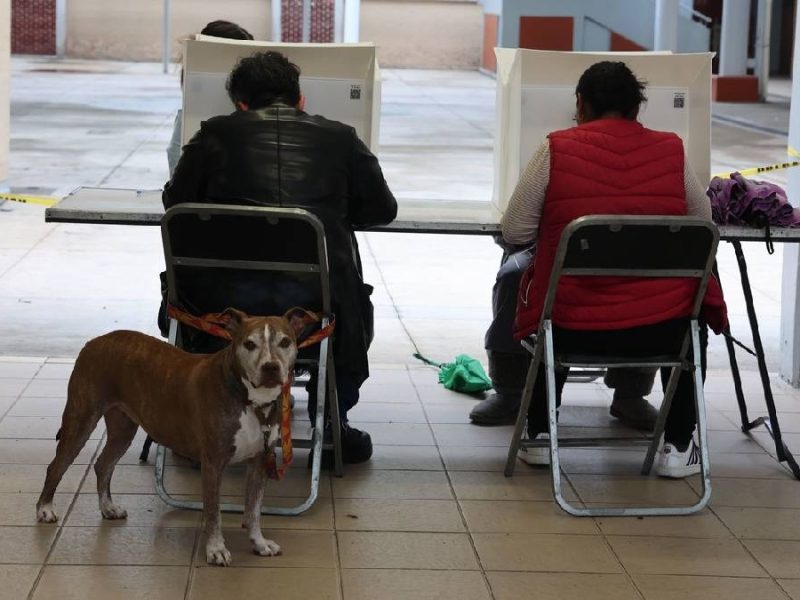 Revocación de mandato