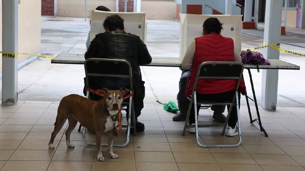 Revocación de mandato