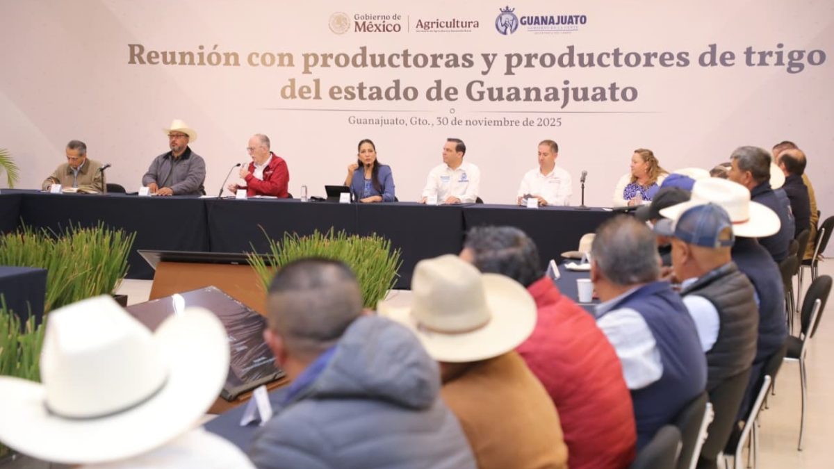 Reunión productores de trigo