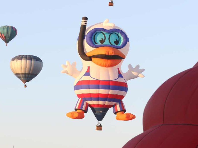 Segundo día del FIG