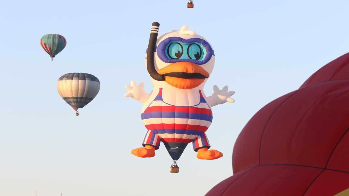 Segundo día del FIG