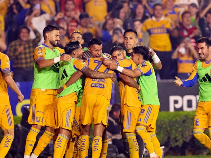 Tigres