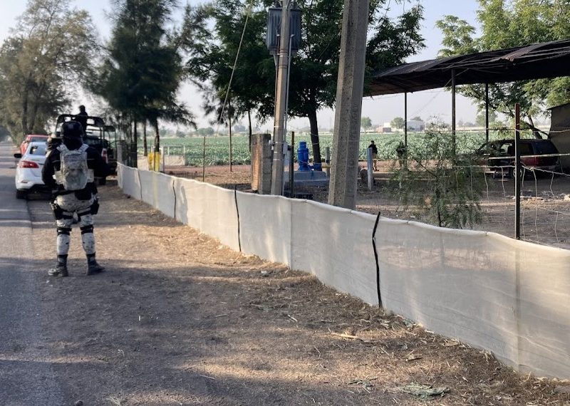 Unión de Liebres 01