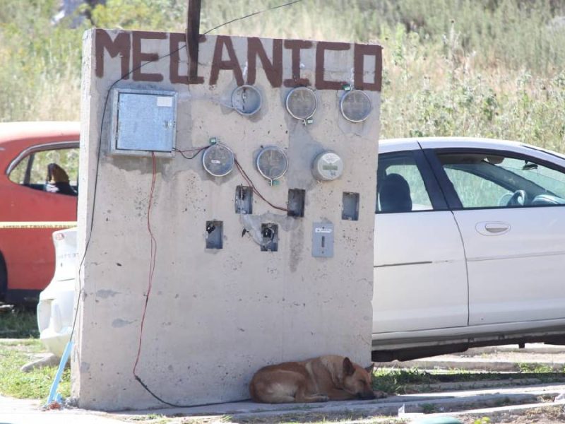 brisas-del-campestre