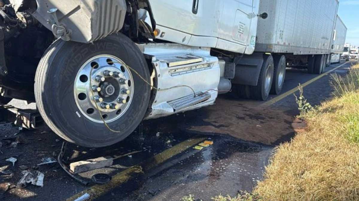 carambola Celaya-Querétaro