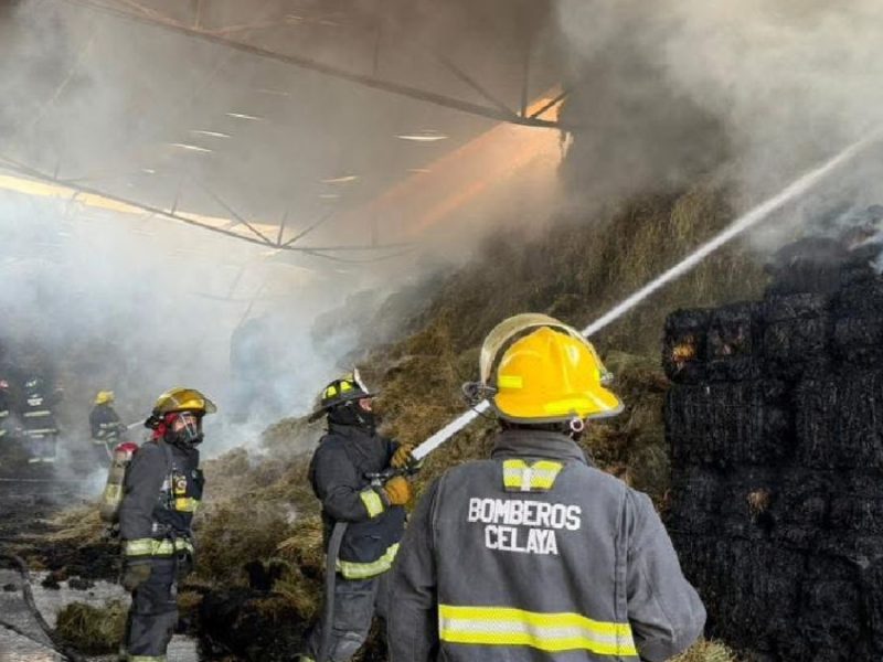 celaya incendio1