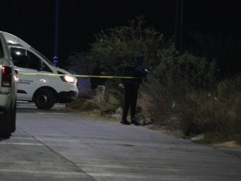 cráneo-brisas del campestre