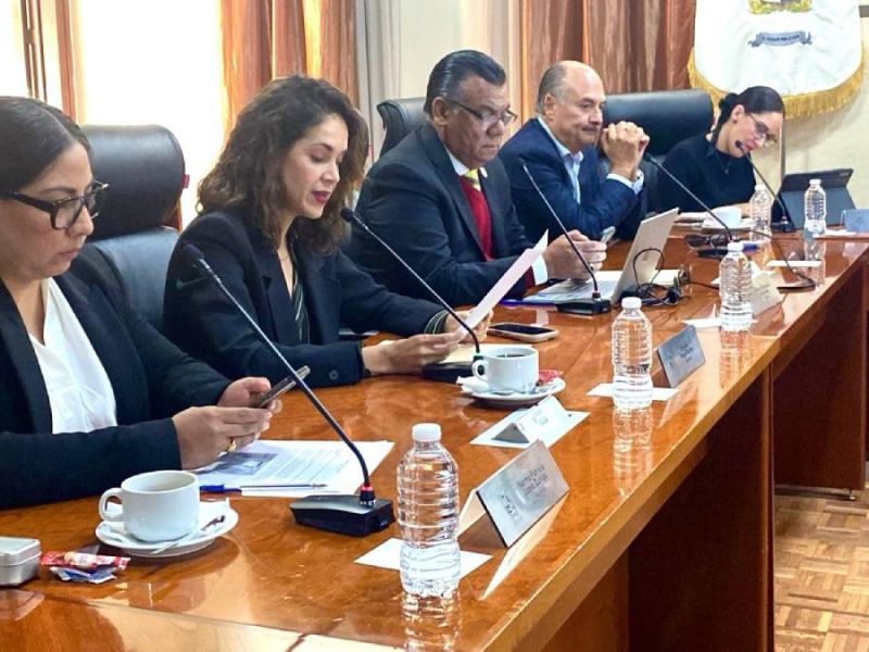 dessire-angel-rocha-stem-leon