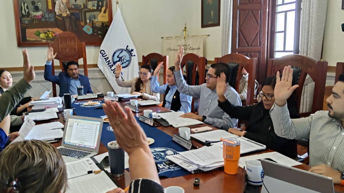 feria-purisima-del-rincon-ayuntamiento