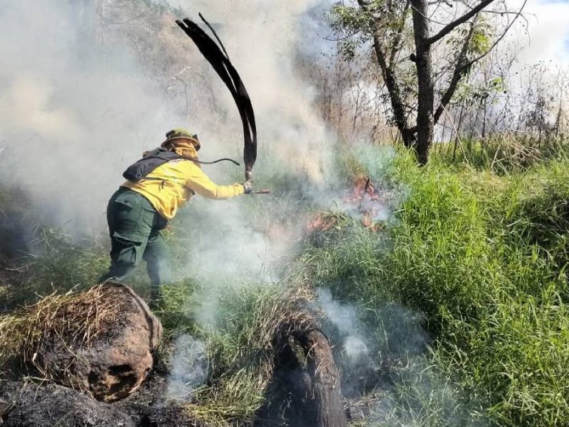 gto incendio pastizal4