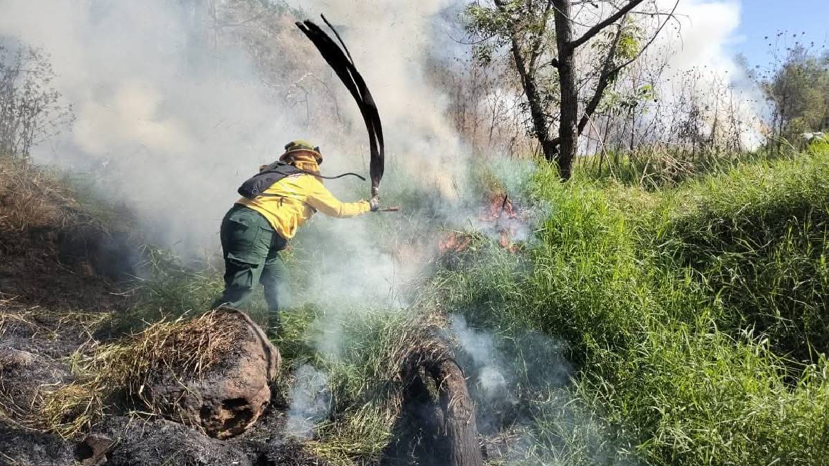 gto incendio pastizal4