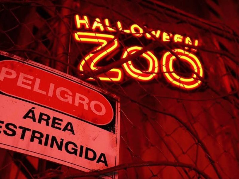 halloween-zoo-leon