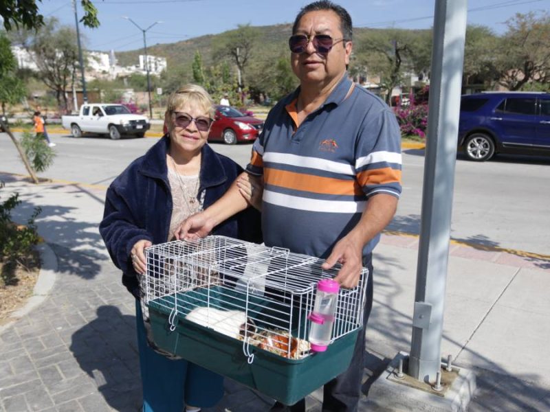 hospital-mascotas-leon