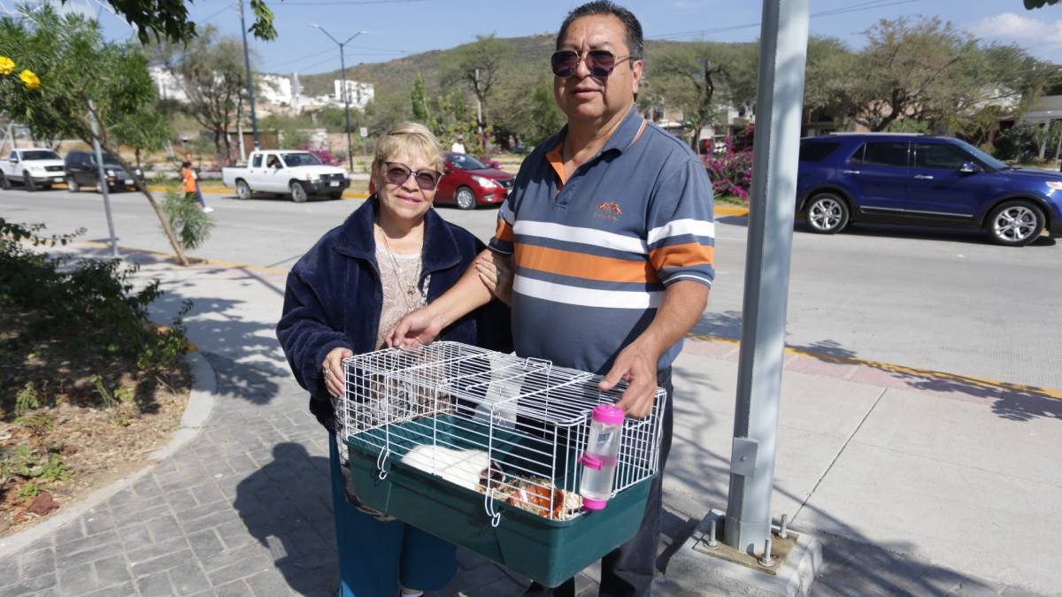 hospital-mascotas-leon