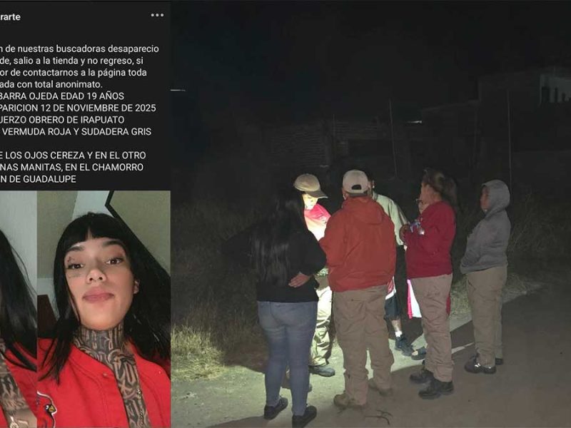 Mariana Valeria Ibarra Ojeda Irapuato