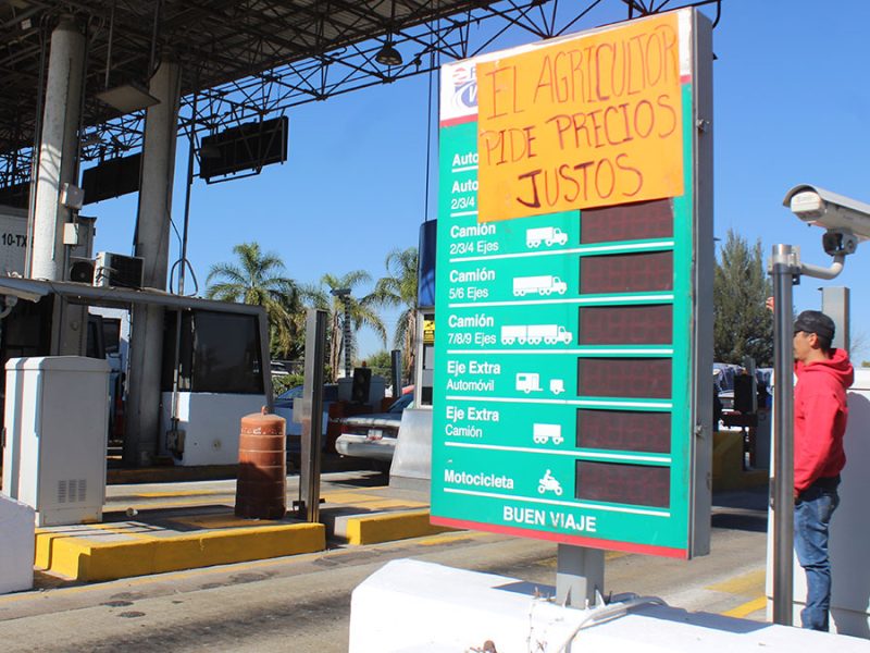 Precio del maíz en Guanajuato