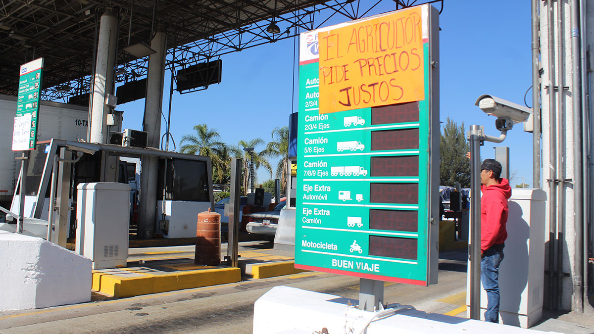 Precio del maíz en Guanajuato