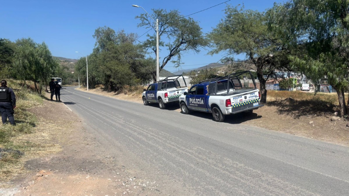 leon hallazgo alfaro1