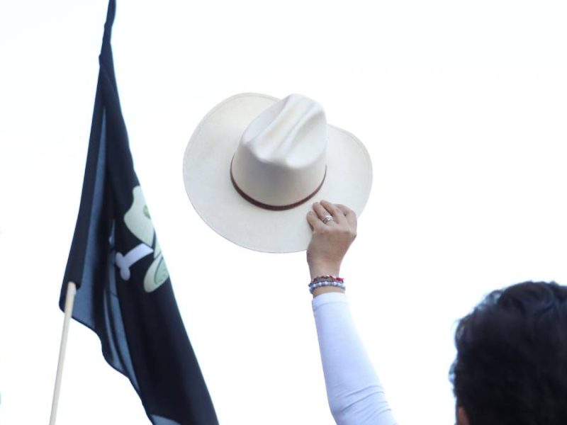 marcha-por-la-paz-guanajuato-carlos-manzo