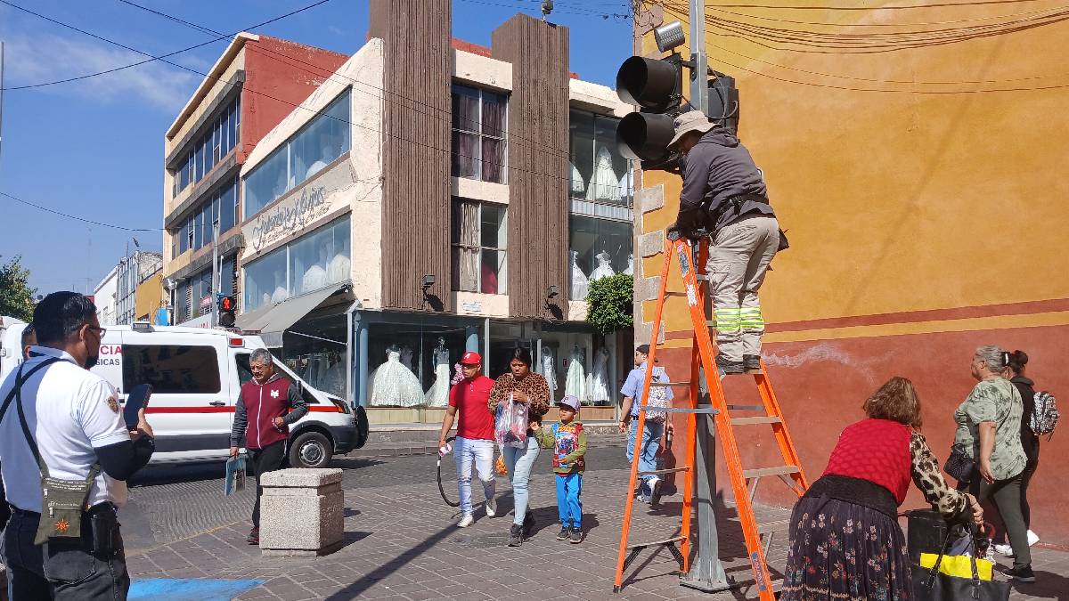 roedores-semaforos-celaya