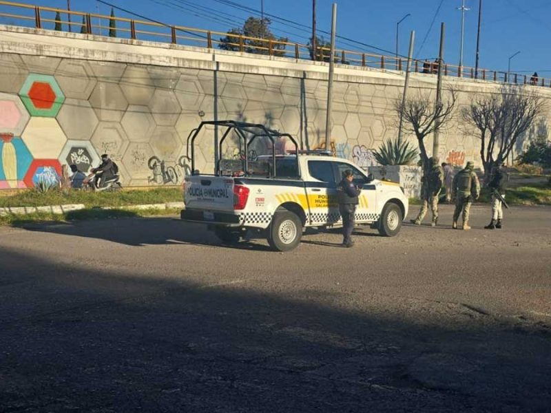 restos humanos en bolsas en La Primavera