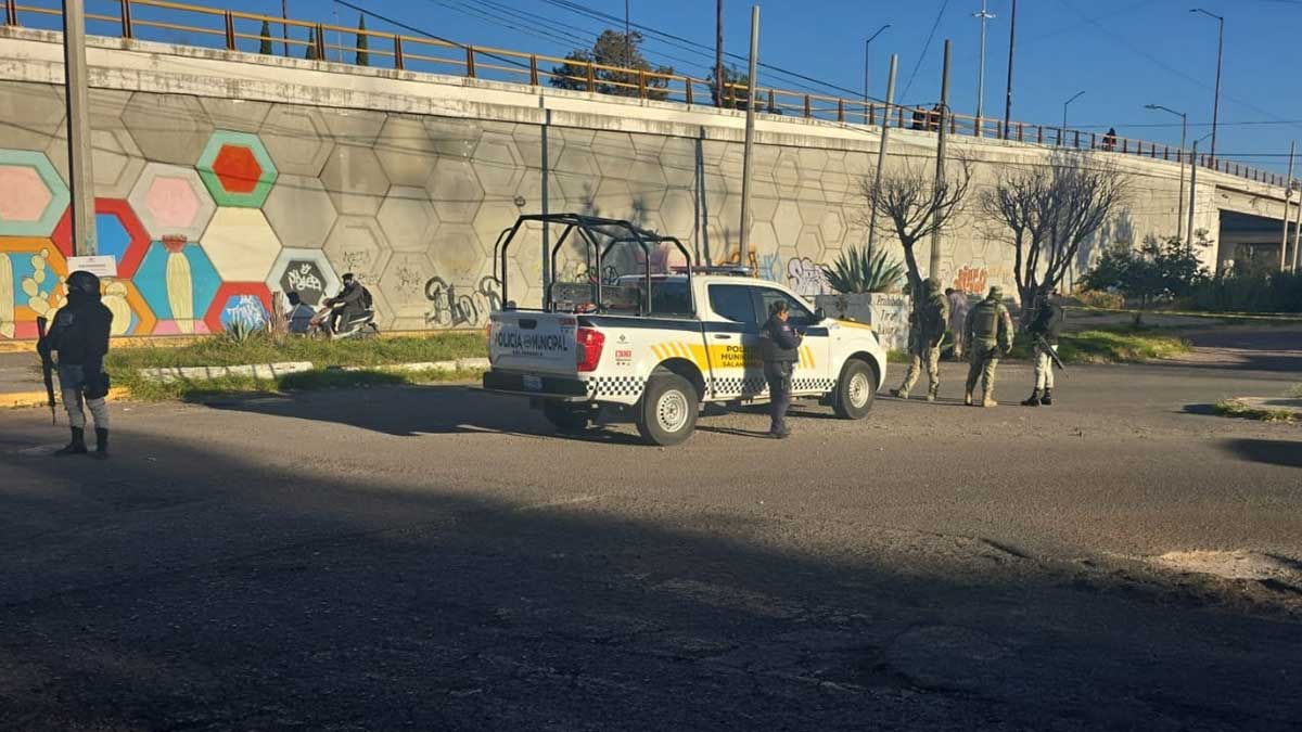 restos humanos en bolsas en La Primavera